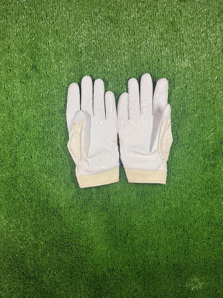 Jordan Brand Gloves