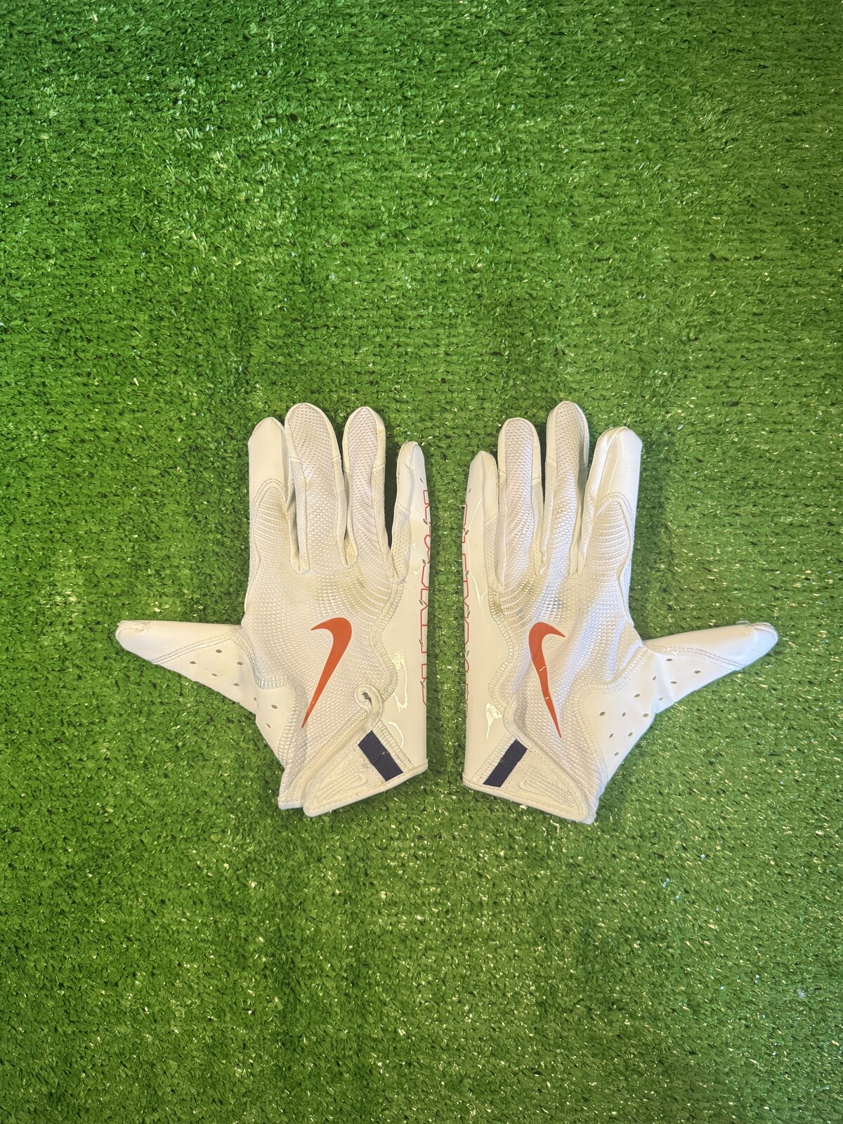 Clemson Gloves