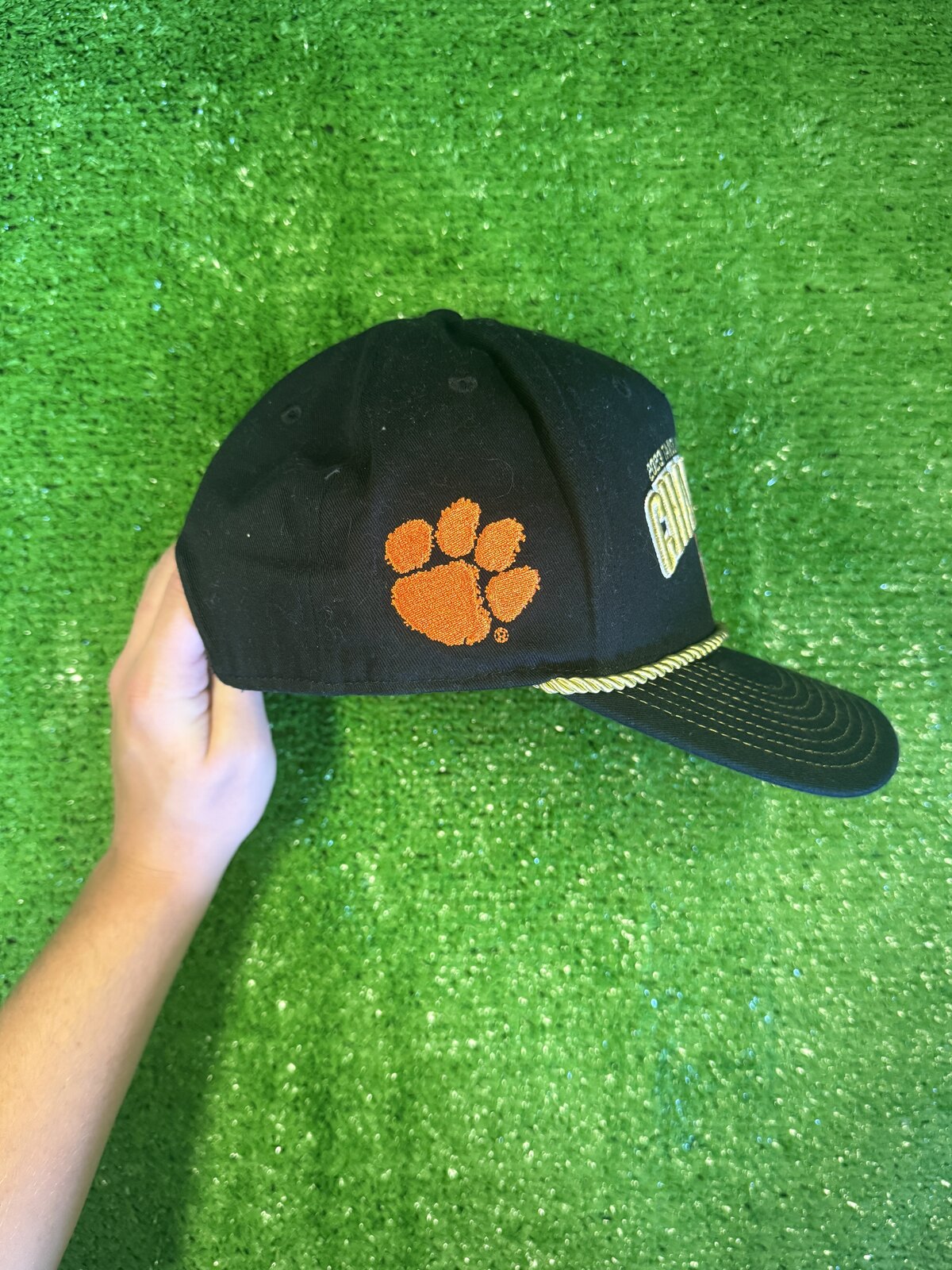 Clemson Hat