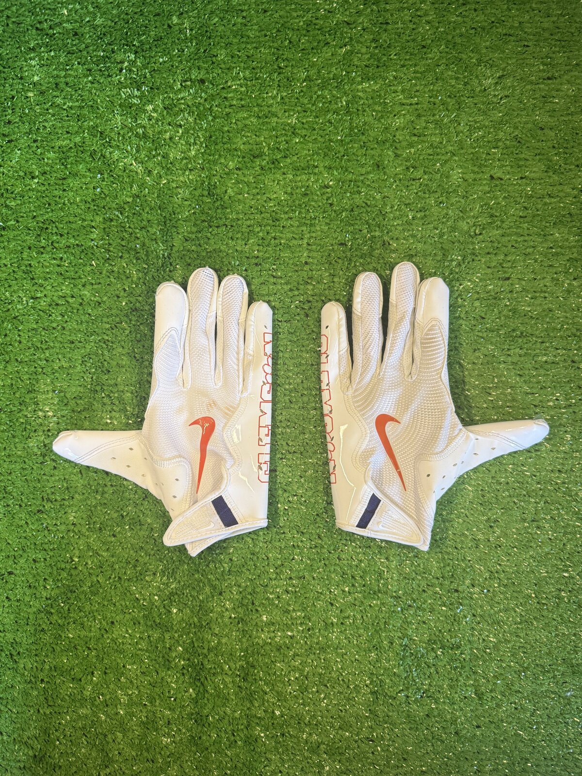 Clemson Gloves
