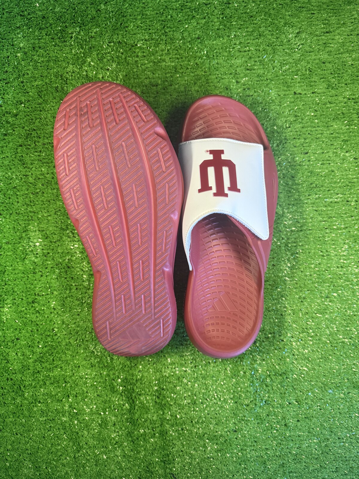 Indiana Slides