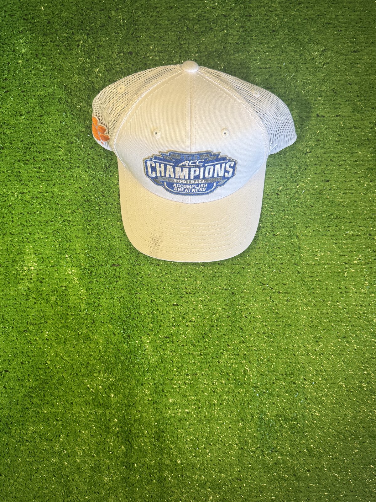 Clemson Hat