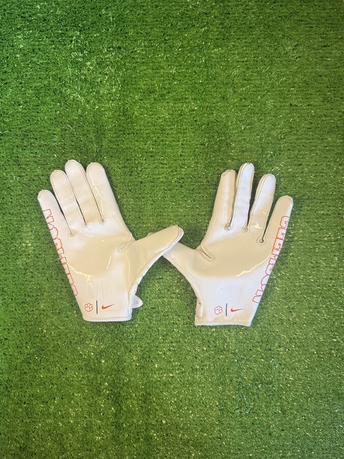 Clemson Gloves